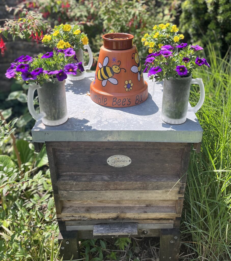 Bee bar in Keynsham garden